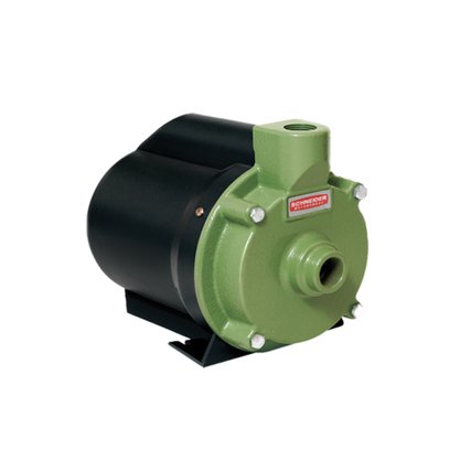 Motobomba Monofásico Schneider 1CV BCR 2010