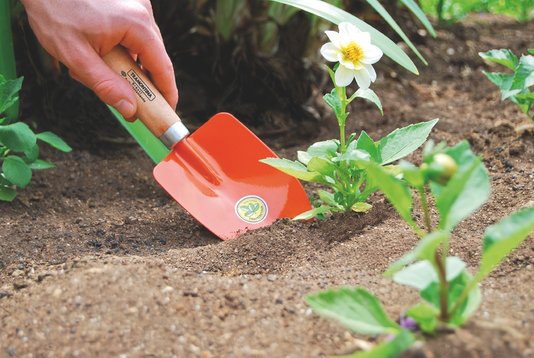 Pazinha Metálica para Jardinagem com Cabo de Madeira Tramontina 77907/001