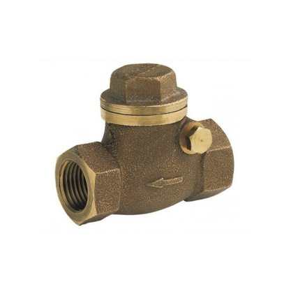 Válvula de Retenção Horizontal 2.1/2" Docol