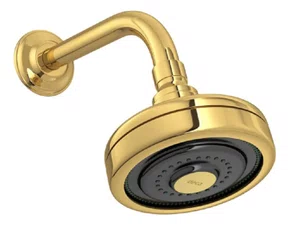 Chuveiro De Parede Acqua Plus Gold 1990.gl.std Deca Acabamento Brilhante Cor Dourado Brilho Dourado Brilho Brilhante