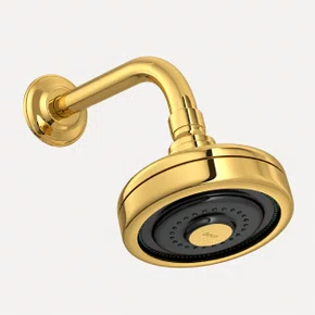 Chuveiro Deca Acqua Plus Gold de Parede com Tubo 1990.GL.STD