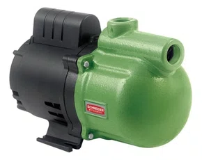 Motobomba Autoaspirante Monofásica Schneider Asp-98 1hp Cor Verde Frequência 60 Hz