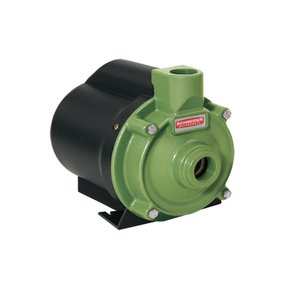 Motobomba Monofásico Schneider 1CV BCR 2010