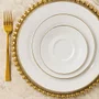 Aparelho de Jantar e Chá 30 Peças Itamaraty com Filete Ouro Schmidt