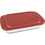 Assadeira Retangular com Tanmpa Marinex 6538