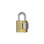 Cadeado Zamac E-Coat com Segredo 25mm Encartelado Stam 90501