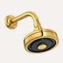 Chuveiro Deca Acqua Plus Gold de Parede com Tubo 1990.GL.STD