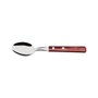 Colher de Mesa Lâmina Aço Inox e Cabo de Madeira Polywood Tramontina 21103470